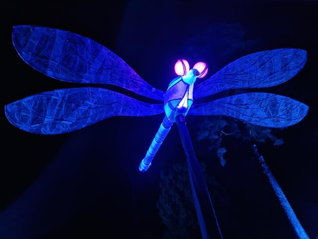 Leonardslee Lights 2024 transports guests into an enchanting world as the gardens come alive with stunning illuminations, captivating large-scale installations, mesmerising fountains and more