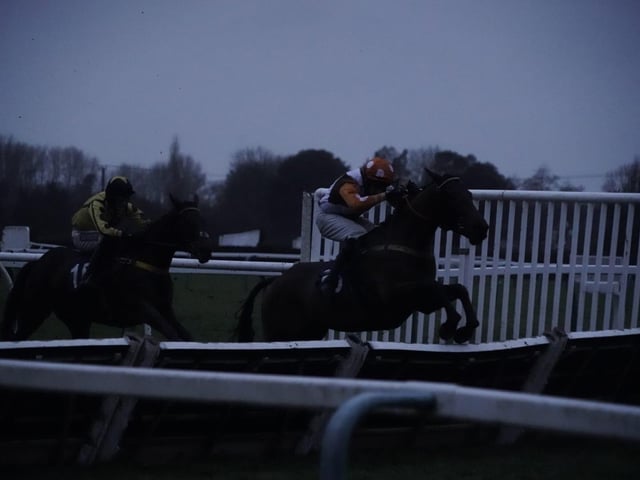January jump racing at Fontwell Park, 2025