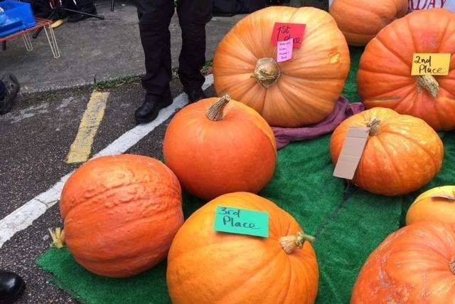 Powerful pumpkins take centre stage at Steyning & District Food & Drink Festival