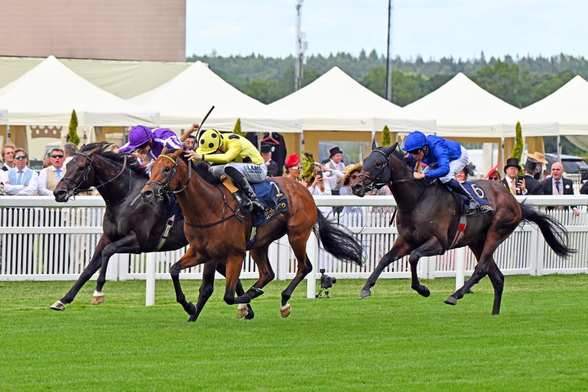 Sussex Stakes day at Glorious Goodwood: Experts give their views on Bow ...