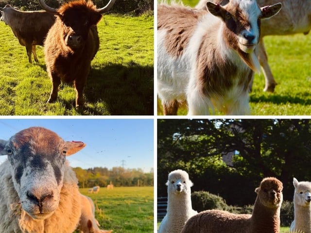 Sharnfold Farm