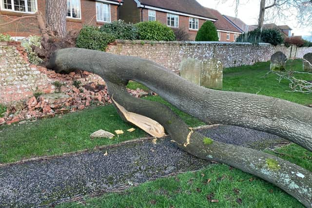 The tree also demolished part of a wall edging St Mary's Church in Storrington. Photo: Lawrence Smith
