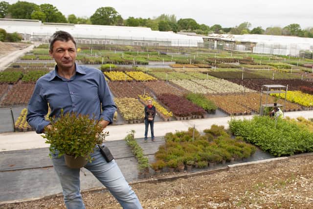 Nursery manager Michael Esposito with Kate Foy