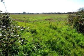 Land off Clappers Lane in Earnley, where developers want to build 100 new homes.