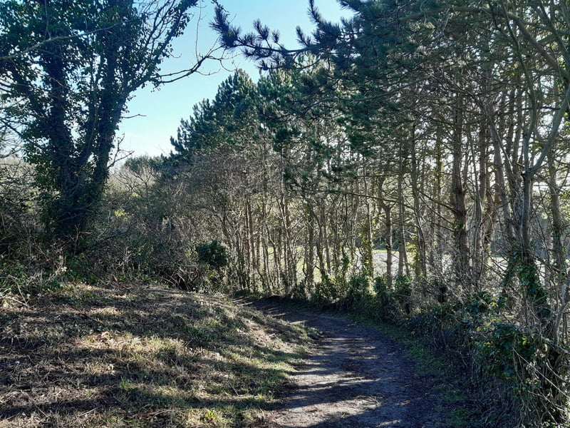 You will start to go down a steep slope and then you are soon back at the big junction at the top of Hangleton Lane.