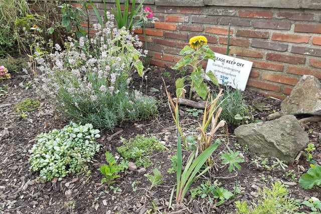 Sight Support Worthing's sunken sensory garden in Steyne Gardens, Worthing, was officially opened on August 1, 2023, after a transformation that was partly funded by a grant from the Rampion Community Benefit Fund