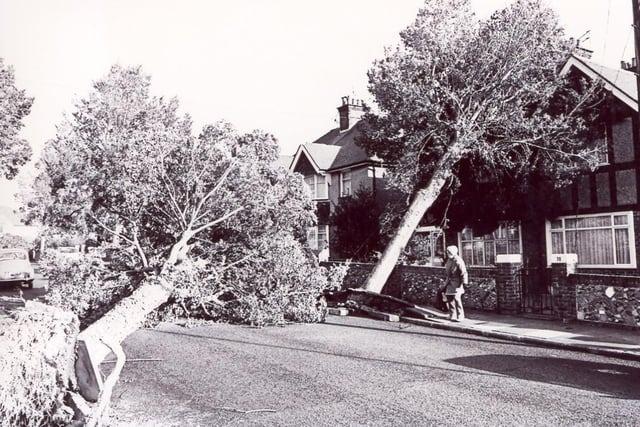 The Great Storm of 1987 in Eastbourne: 21 pictures of the destruction in the town
