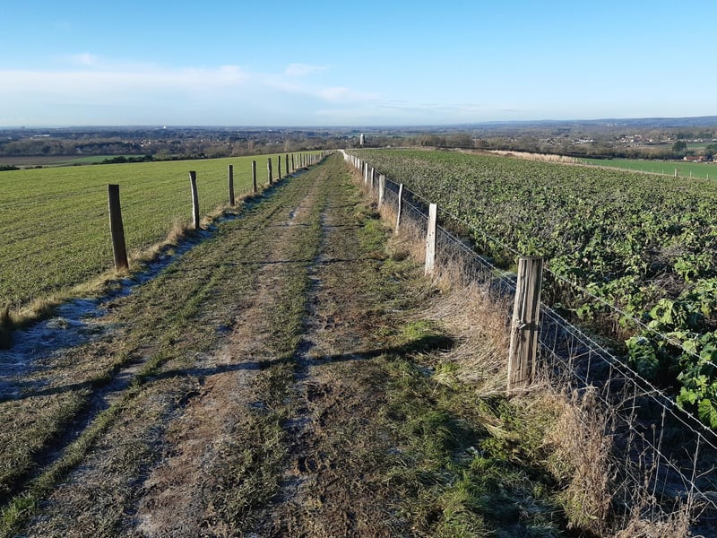 Now follow the path between two fenced-off fields, with Ecclesden Windmill in the distance.