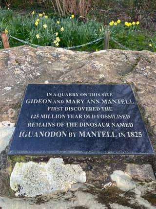 The Mantell Tablet - Whitemans Green, Cuckfield