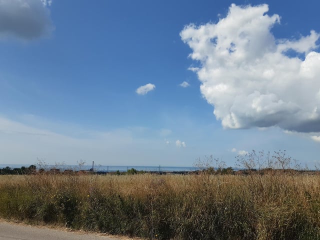 ...before turning to look down to the sea, thinking of all the excitement to come