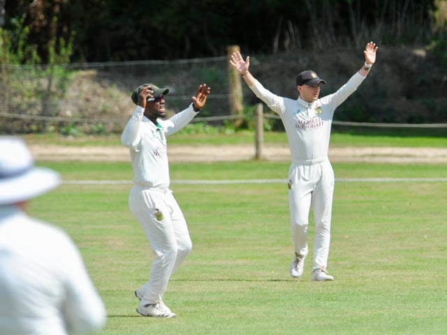 Action from Findon CC's Sussex League division two clash with Burgess Hill