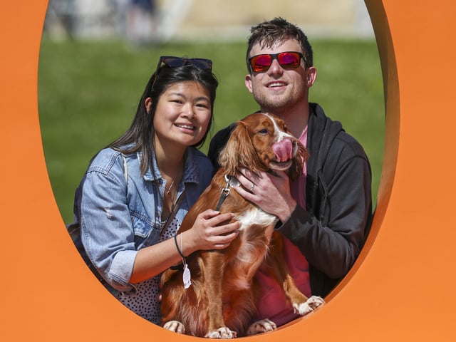 So many dogs and their owners enjoyed the sunshine at Goodwoof over the weekend. Photo: Kieran Cleeves, PA