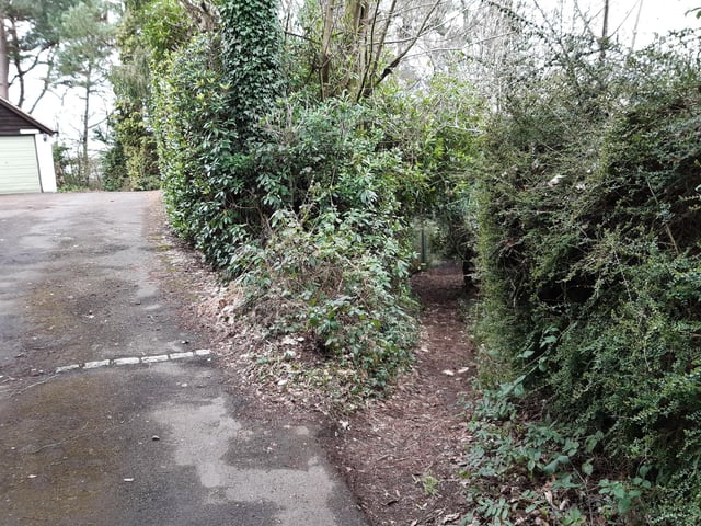 Continue on down this narrow footpath