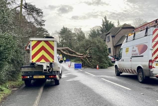 This was the scene in Storrington this morning when a tree fell onto a power line on the A283. Photo: Adam Copeland