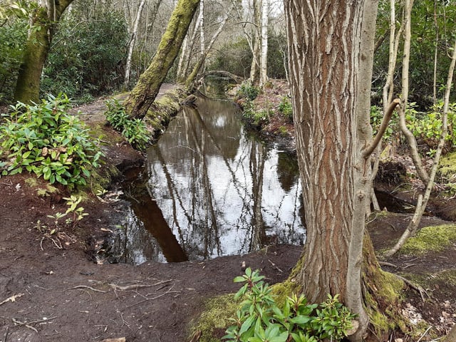 You will find yourself back by the fairy bridges