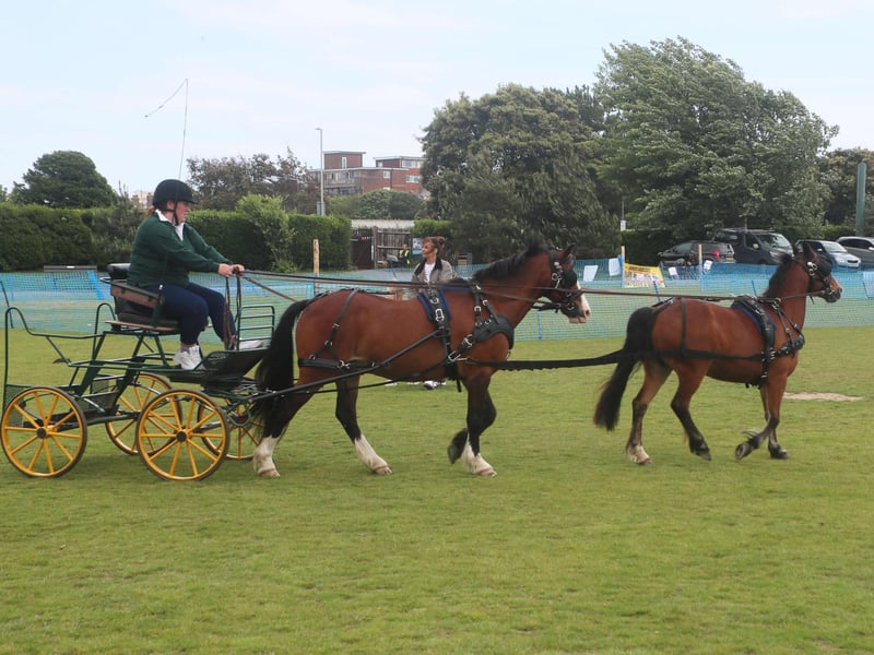 Bexhill Horse Show 2025. Photo by Roberts Photographic.