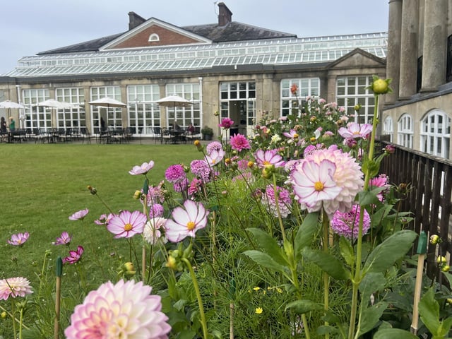 There were some beautiful flowers on display next to the seating area of the restaurant.
