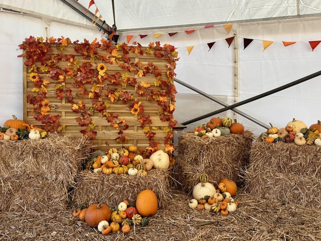 A popular pumpkin patch in Rogate has returned, with visitors invited to pick pumpkins and explore a range of autumn-themed activities.
