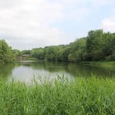 Action is being taken to help fish at Southwater Country Park to survive the hot weather