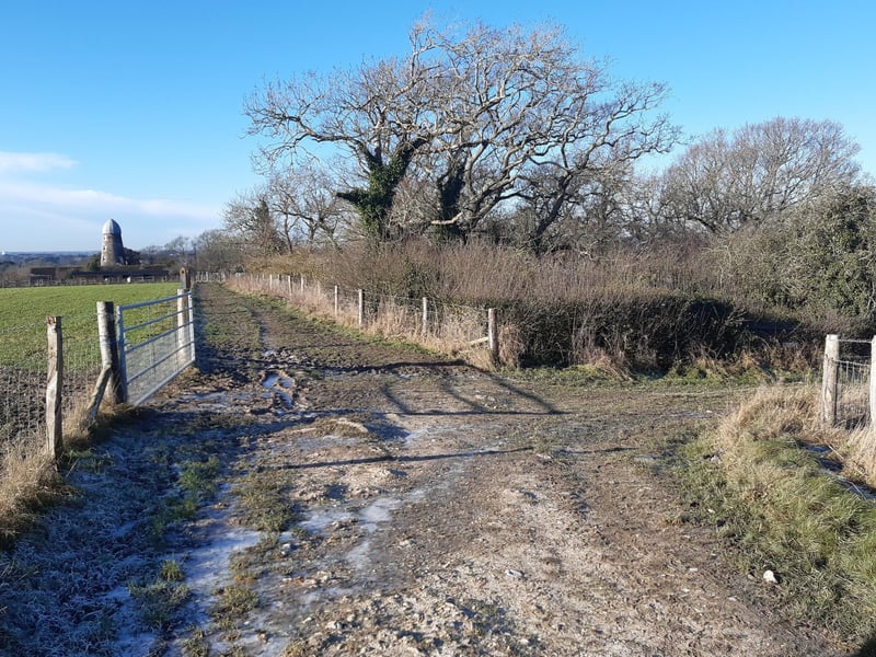 Pass the private road to Ecclesden Farm on your right and make your way to the end.