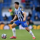 Steven Alzate will be a classy addition to the West Brom move after his loan from Premier League outfit Brighton