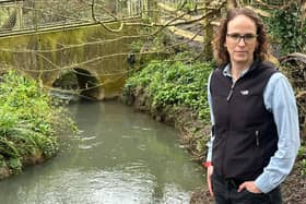 Cllr Alison Bennett inspecting a Mid Sussex stream