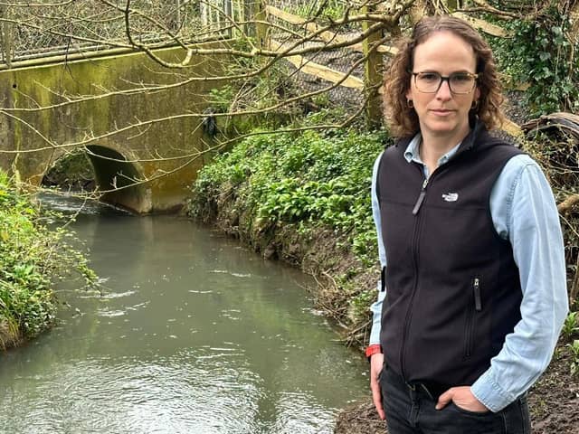 Cllr Alison Bennett inspecting a Mid Sussex stream
