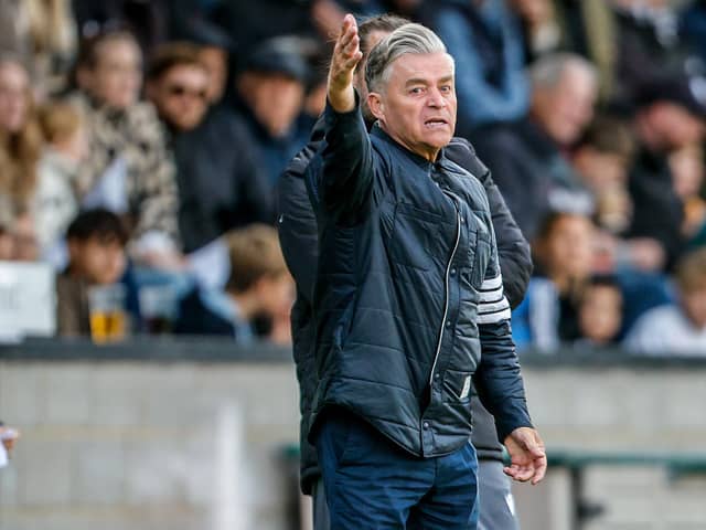 Steve King oversaw a 2-0 Borough win at Three Bridges | Lydia Redman