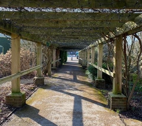 Pictures: Here are 9 pictures of Tilgate Park looking stunning in the sunshine as Spring begins to appear