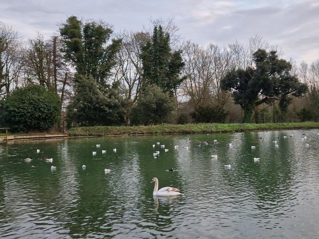 Swanbourne Lake – Enjoy a walk around Swanbourne Lake in Arundel and do a bit of bird spotting. Relax in the café or grab an ice-cream