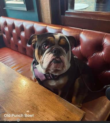Jed Scott Jones from Facebook said: "The old punch bowl is very dog friendly we even have our very own pub dog meet Bruce"