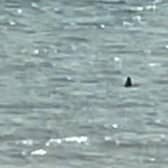 The fin caught on camera believed to be a basking shark. Picture: Stephen Owen