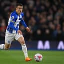 Solly March, 28, is having his best season in a Brighton shirt, scoring eight goals and providing the same number of assists in all competitions. (Photo by Mike Hewitt/Getty Images)