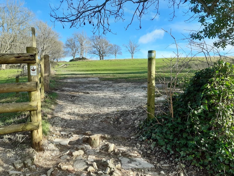Walk through this gap, with the fence on your left, and continue uphill.
