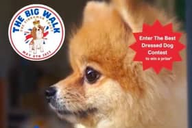 A charity dog walk and best-dressed contest is taking place tomorrow (Monday, May 8).