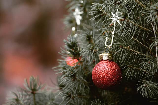 Where in Sussex you can dispose of your Christmas tree