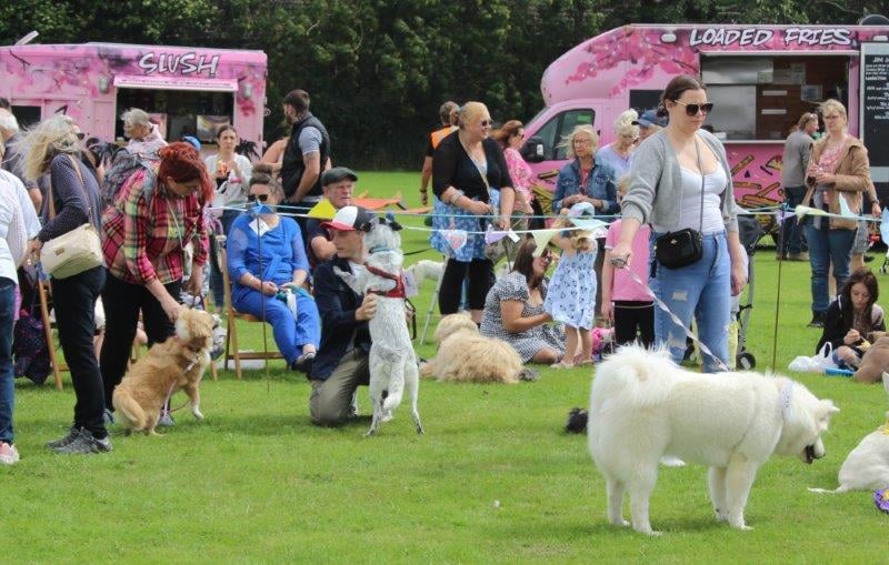 The combined features of the flower show, dog show and displays attracted many hundreds of visitors to the recreation ground