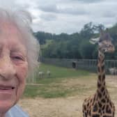 Wellington Grange resident Stella Collister up close with a giraffe at Longleat Safari Park