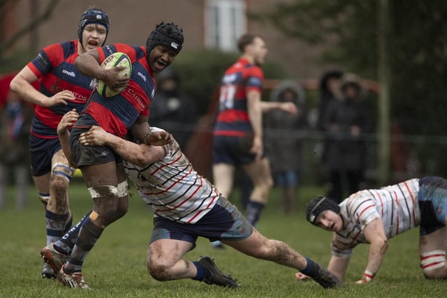 Action from Chichester v Reed Weybridge
