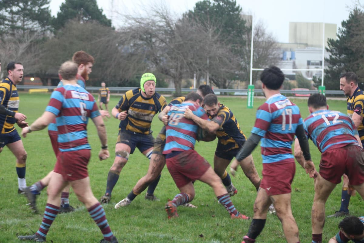Hove Rfc Eastbourne too strong for Hove in well-contested rugby derby