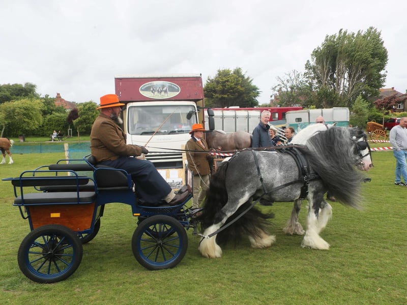 Bexhill Horse Show 2025. Photo by Roberts Photographic.