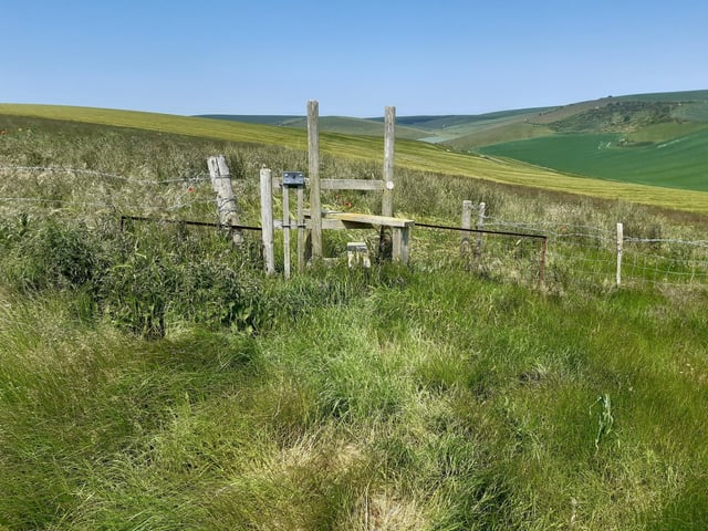 This will lead you to a stile. Please bear in mind you are on the farmer's field but this is a right of way.