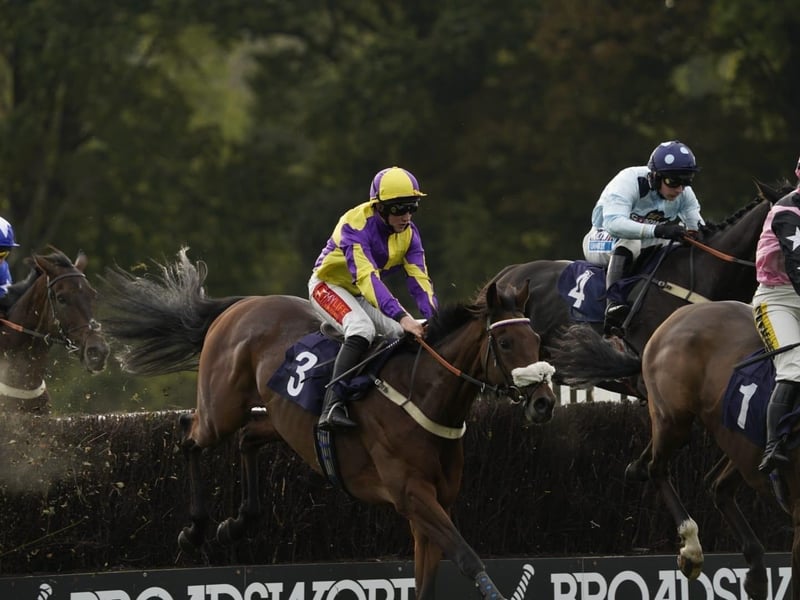 Action and other images from Fontwell Park's Beer and Cider Festival racedays, staged in the sunshine on Friday and Saturday
