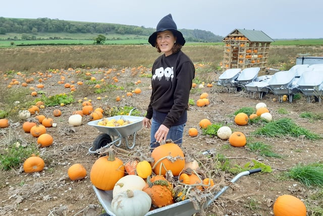Caroline Harriott is the farmer at Lychpole Farm, where Sompting Pumpkins is getting ready to open again this weekend