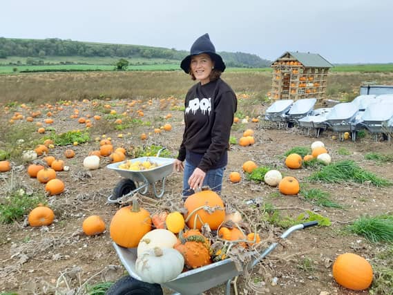Caroline Harriott is the farmer at Lychpole Farm, where Sompting Pumpkins is getting ready to open again this weekend