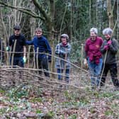 Volunteers from Sandgate Conservation were in action at Sullington Warren at the weekend. Photo: Brian Burns