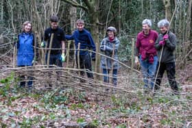 Volunteers from Sandgate Conservation were in action at Sullington Warren at the weekend. Photo: Brian Burns