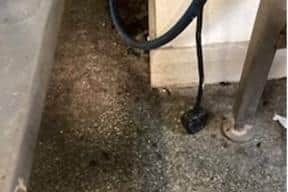 Rat droppings in the kitchen. Picture: Rother District Council