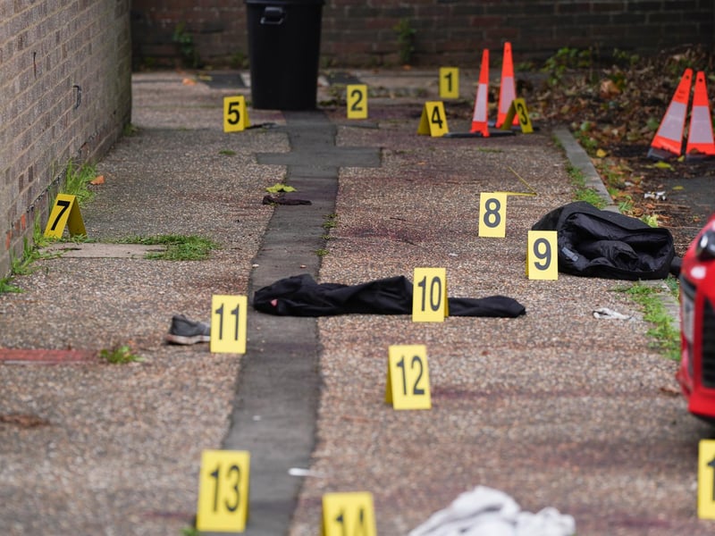 SUSSEX NEWS AND PICTURES - news@sussexnewsandpictures.uk - 012 73 93 02 02
Police have shot and killed two dogs after an elderly man was attacked in the street.