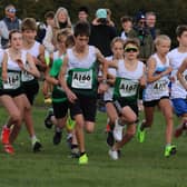The start of the combined boys and girls' U16 race - with Chichester to the fore | Picture by Ian Luxford